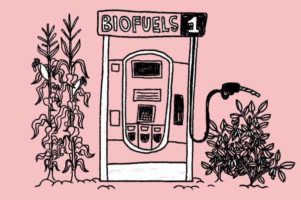 Biofuels and bioproducts